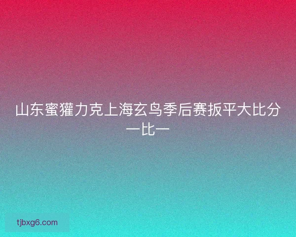 山东蜜獾力克上海玄鸟季后赛扳平大比分一比一