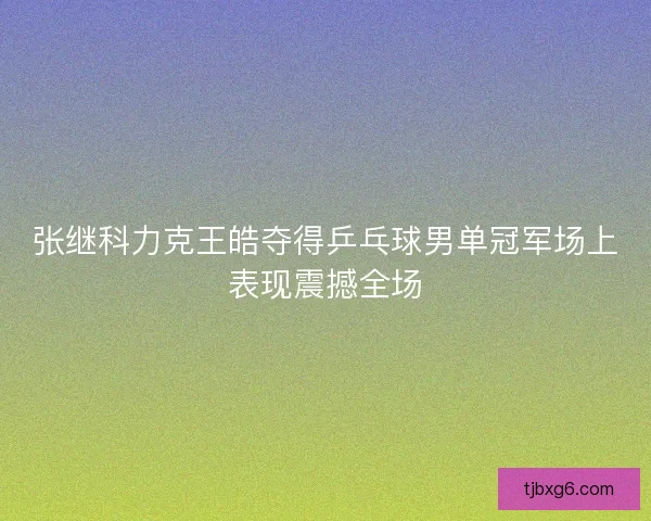 张继科力克王皓夺得乒乓球男单冠军场上表现震撼全场