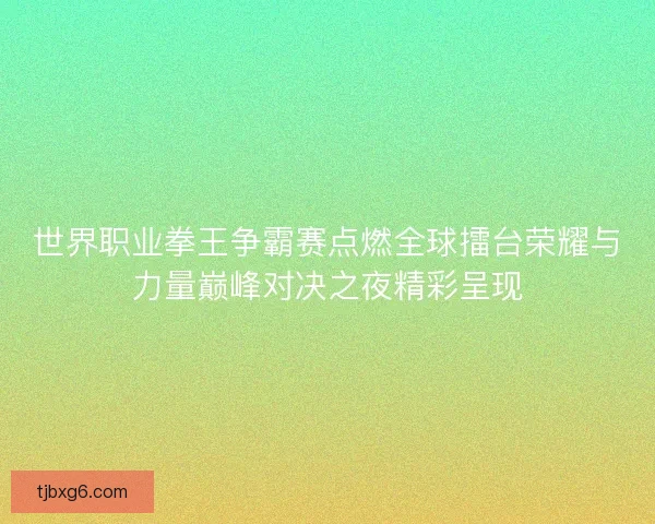 世界职业拳王争霸赛点燃全球擂台荣耀与力量巅峰对决之夜精彩呈现