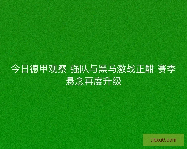 今日德甲观察 强队与黑马激战正酣 赛季悬念再度升级