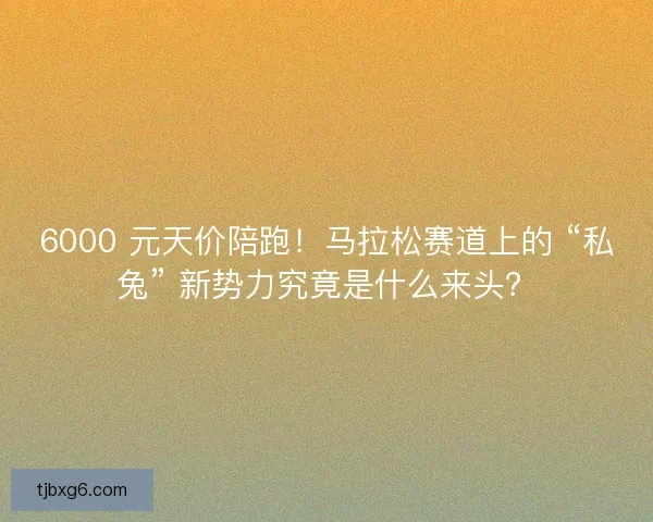 6000 元天价陪跑！马拉松赛道上的 “私兔” 新势力究竟是什么来头？